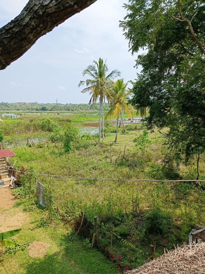 Three Little Birds Hotel Tangalle Exterior photo