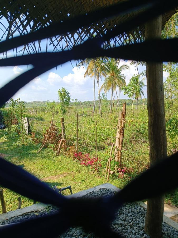 Three Little Birds Hotel Tangalle Exterior photo